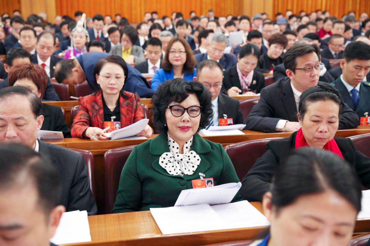 中國政府網:李藝連代表審議讨論政府工作報告